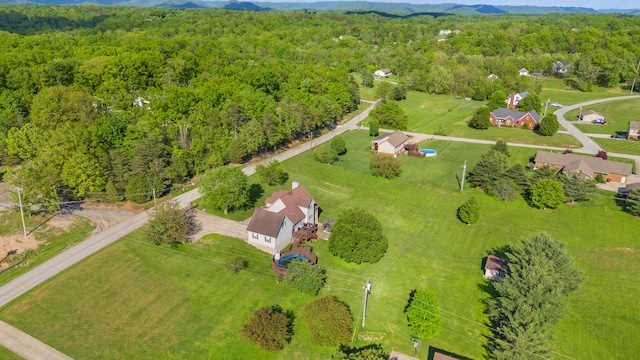 bird's eye view of a forest