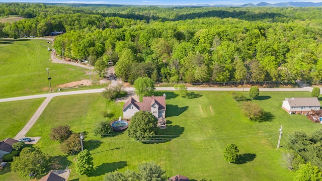 bird's eye view of a forest