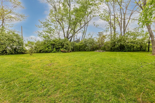 134 Pandora Dr, Harrodsburg, KY 40330 - view of grassy yard