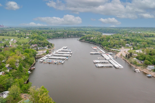 134 Pandora Dr, Harrodsburg, KY 40330 - drone / aerial view of a large body of water