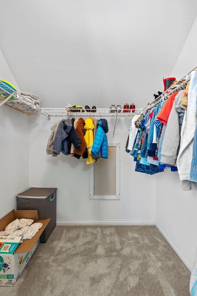 walk in closet with carpet floors