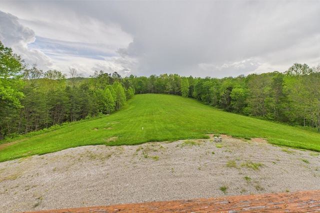 663 John R Jones Rd, London, KY 40741 - view of yard featuring a wooded view