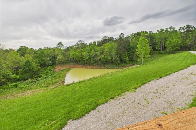 663 John R Jones Rd, London, KY 40741 - view of community with a forest view and a yard