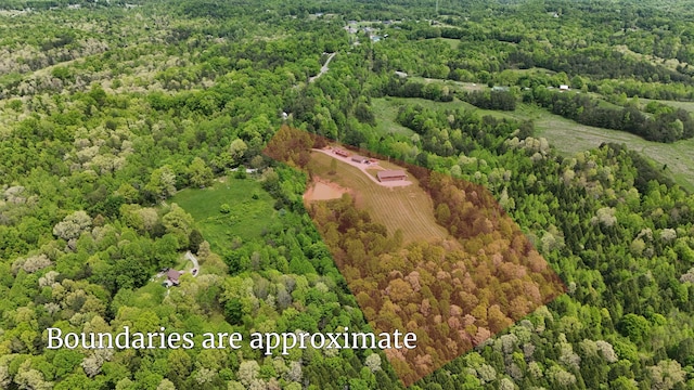 663 John R Jones Rd, London, KY 40741 - view of property location featuring a forest