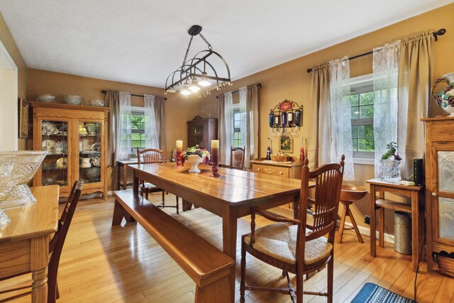 429 Old Danville Rd, Lancaster, KY 40444 - dining area featuring light wood-style flooring