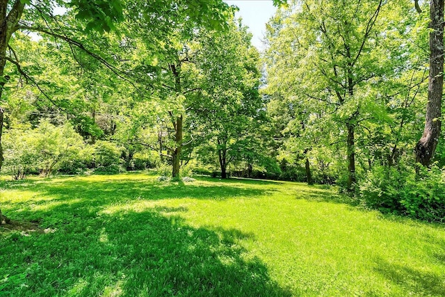 view of green lawn with a forest view