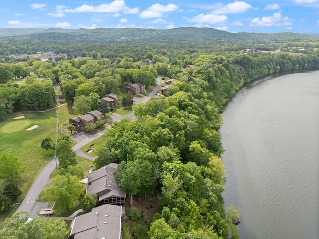 18-2 Woodson Bend Resort, Bronston, KY 42518 - aerial view of property's location with a forest and a water and mountain view