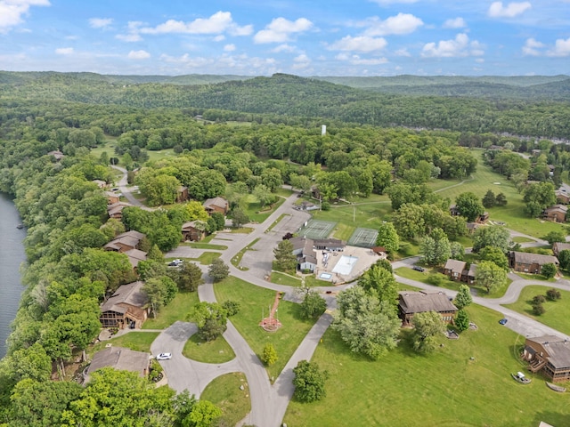 18-2 Woodson Bend Resort, Bronston, KY 42518 - aerial view of a forest
