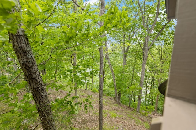 18-2 Woodson Bend Resort, Bronston, KY 42518 - view of local wilderness
