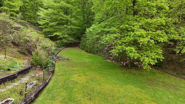 118 Timber Ln, Morehead, KY 40351 - view of grassy yard