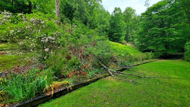 118 Timber Ln, Morehead, KY 40351 - view of grassy yard
