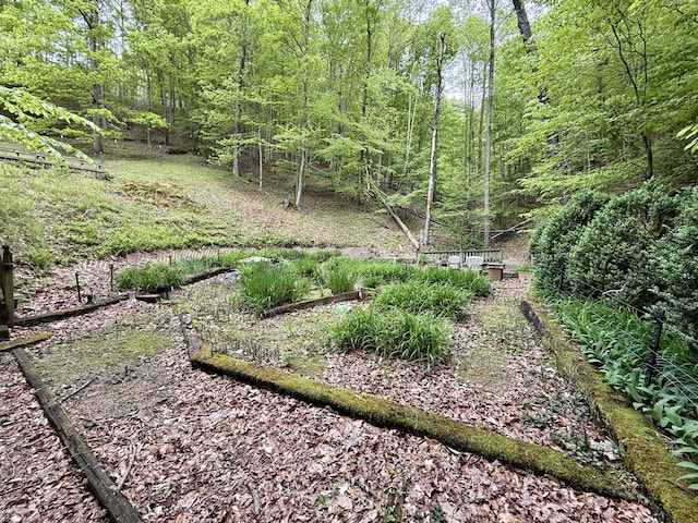 118 Timber Ln, Morehead, KY 40351 - view of yard