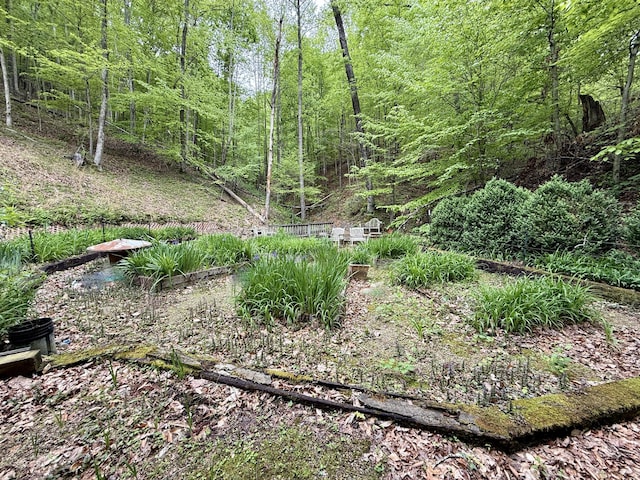 118 Timber Ln, Morehead, KY 40351 - view of yard