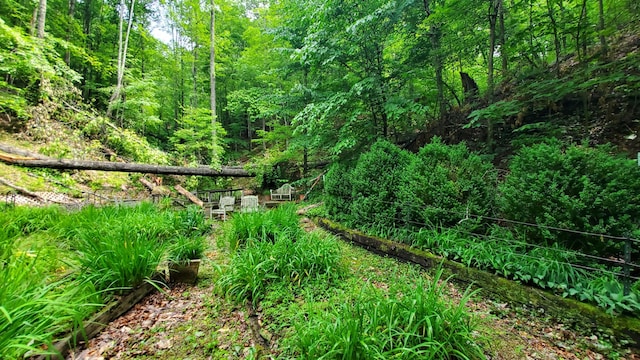 118 Timber Ln, Morehead, KY 40351 - view of tree filled area