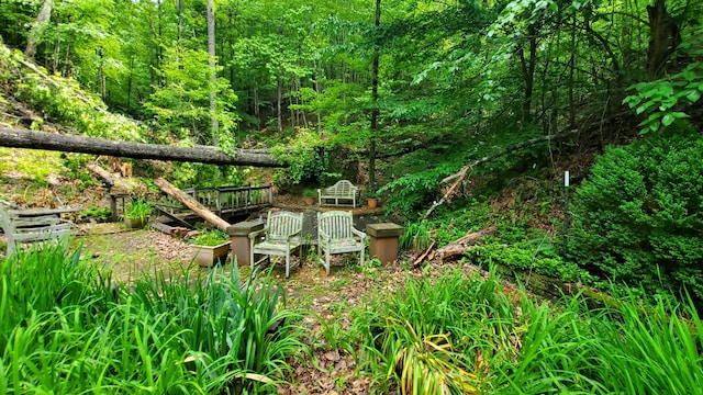 118 Timber Ln, Morehead, KY 40351 - view of woods