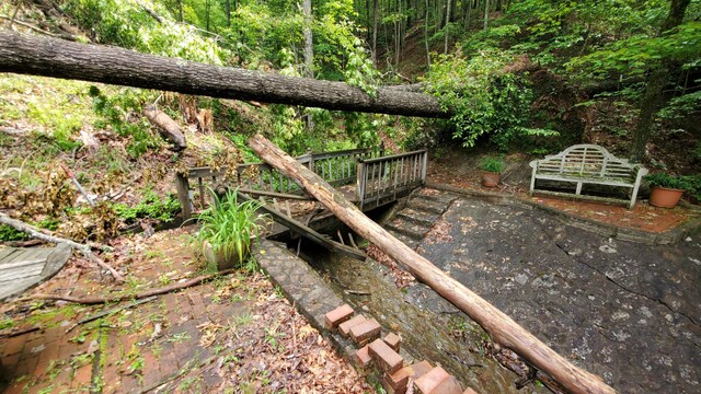 118 Timber Ln, Morehead, KY 40351 - view of yard with a view of trees