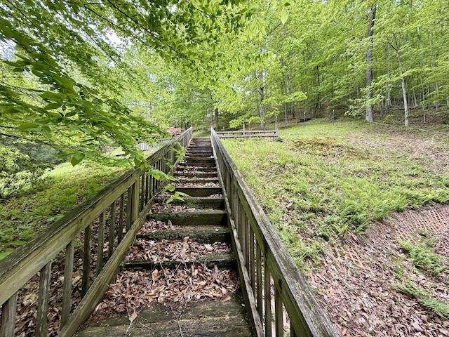 118 Timber Ln, Morehead, KY 40351 - view of yard with a forest view