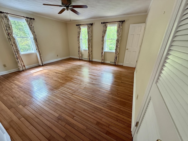 118 Timber Ln, Morehead, KY 40351 - empty room featuring healthy amount of natural light, light wood-style flooring, a ceiling fan, baseboards, and ornamental molding