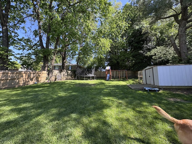 view of yard featuring a trampoline, a storage shed, a playground, and an outdoor structure