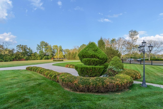 150 Old Woods Dr, Nicholasville, KY 40356 - view of community
