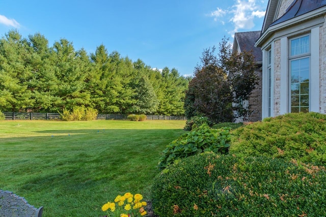 150 Old Woods Dr, Nicholasville, KY 40356 - view of yard