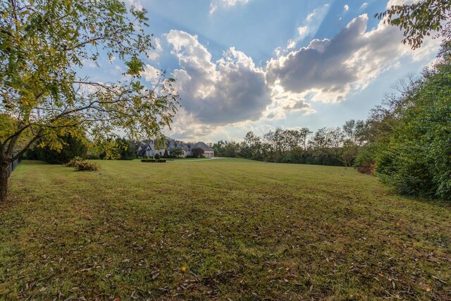 150 Old Woods Dr, Nicholasville, KY 40356 - view of grassy yard