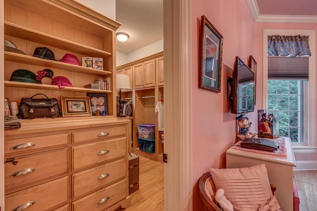 150 Old Woods Dr, Nicholasville, KY 40356 - hall with light wood finished floors and ornamental molding