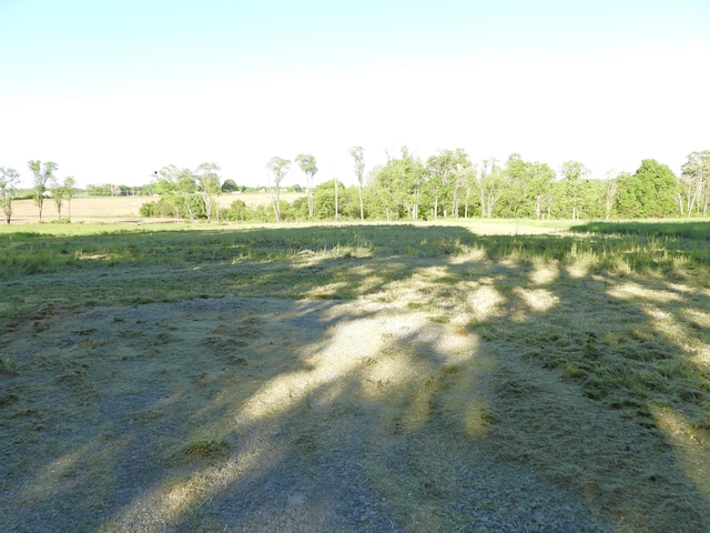 1999 Walnut Grove Rd, Carlisle, KY 40311