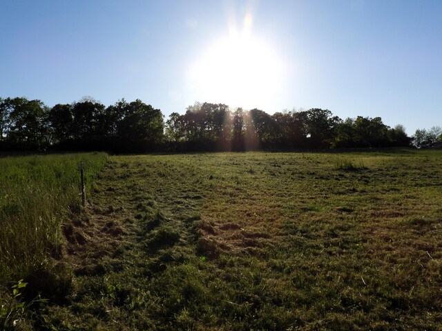 1999 Walnut Grove Rd, Carlisle, KY 40311