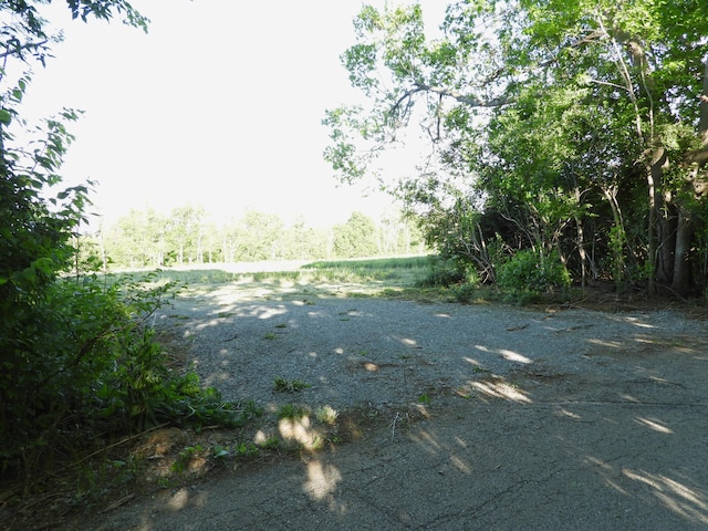 1999 Walnut Grove Rd, Carlisle, KY 40311