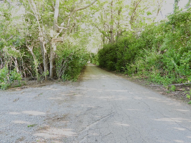 1999 Walnut Grove Rd, Carlisle, KY 40311