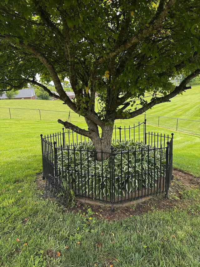 400 Natures Pointe Dr, Somerset, KY 42503 - view of yard