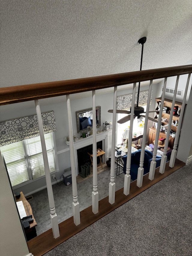400 Natures Pointe Dr, Somerset, KY 42503 - detailed view of carpet flooring