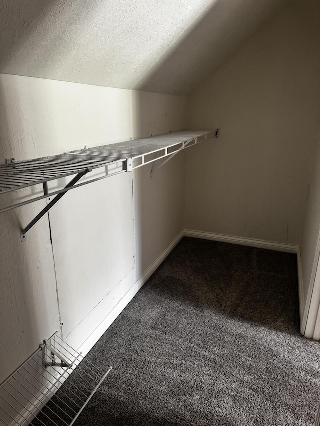 400 Natures Pointe Dr, Somerset, KY 42503 - walk in closet featuring carpet flooring