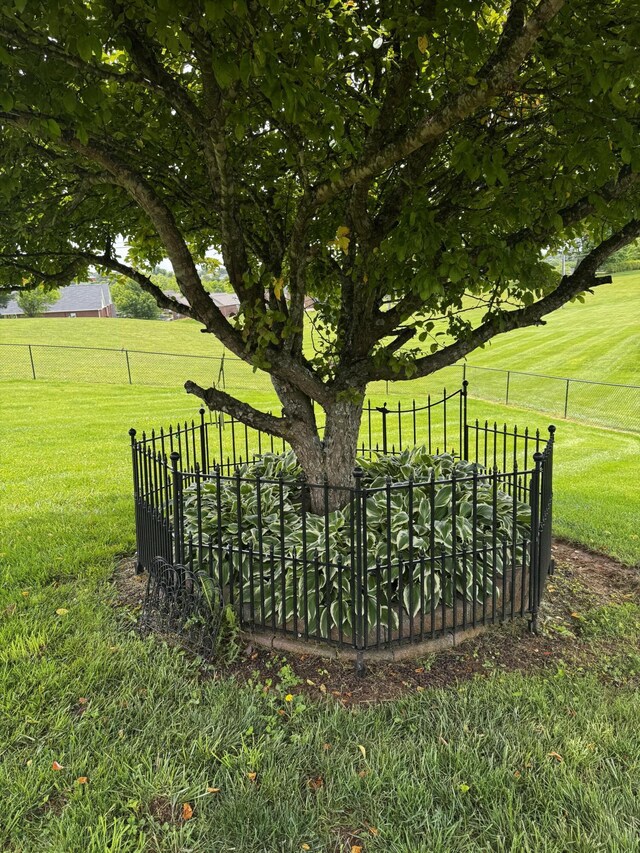 400 Natures Pointe Dr, Somerset, KY 42503 - view of yard