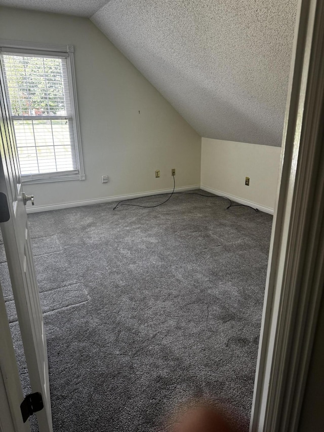 400 Natures Pointe Dr, Somerset, KY 42503 - bonus room with lofted ceiling, a textured ceiling, and carpet flooring