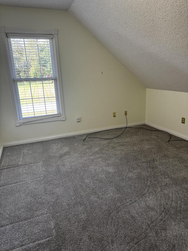400 Natures Pointe Dr, Somerset, KY 42503 - bonus room featuring vaulted ceiling, a textured ceiling, and carpet