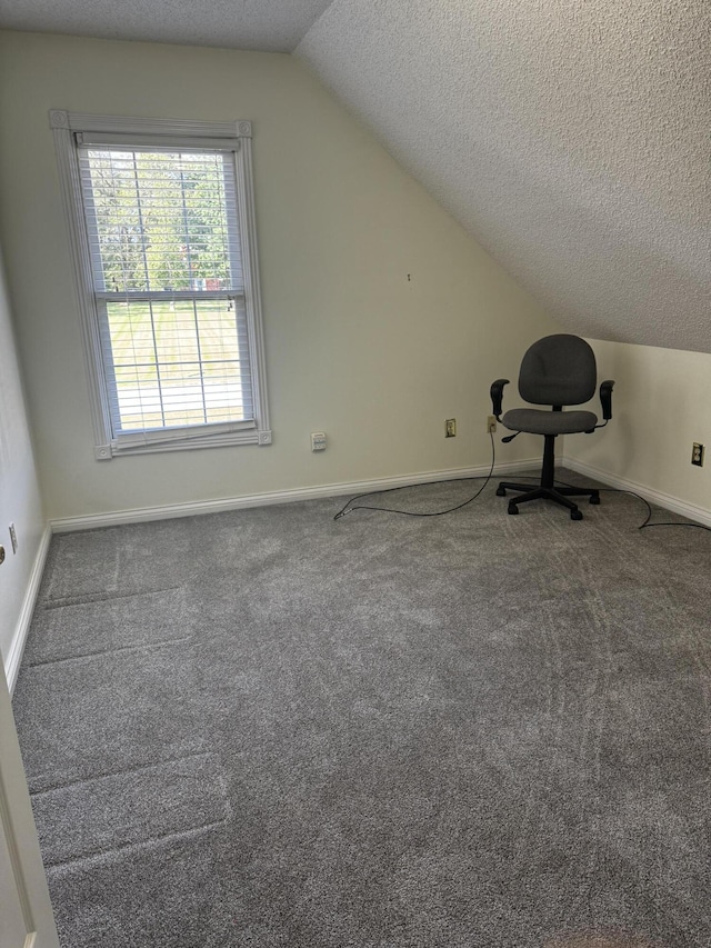 400 Natures Pointe Dr, Somerset, KY 42503 - bonus room featuring a textured ceiling, vaulted ceiling, and carpet floors