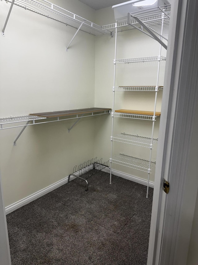 400 Natures Pointe Dr, Somerset, KY 42503 - spacious closet with carpet flooring