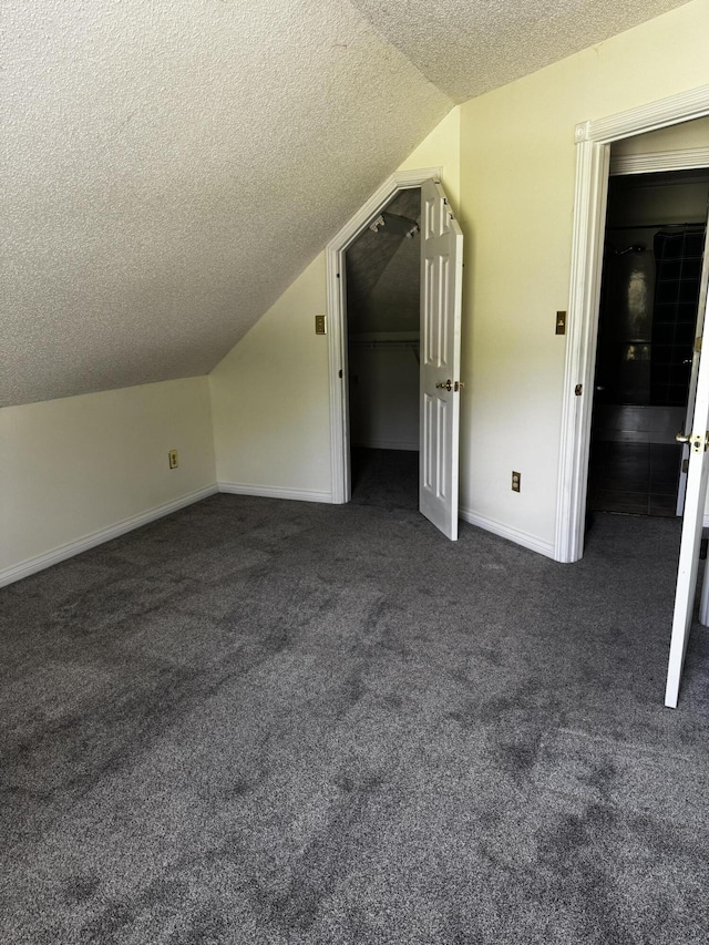 400 Natures Pointe Dr, Somerset, KY 42503 - bonus room featuring a textured ceiling, lofted ceiling, and dark carpet