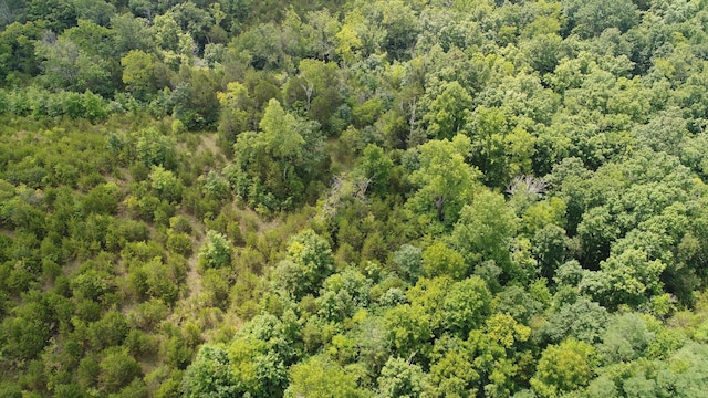 2230 Perryville Rd, Harrodsburg, KY 40330 - bird's eye view of a heavily wooded area
