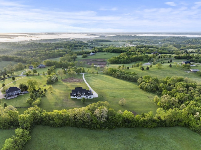 4349 Ravens Crest Ln, Lexington, KY 40515 - aerial view of property and surrounding area featuring a tree filled landscape