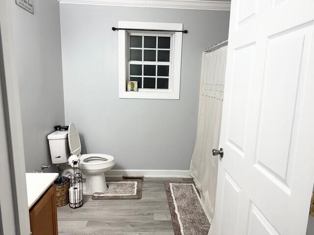 27 Bait Shop Rd, Salt Lick, KY 40371 - bathroom with vanity, wood finished floors, ornamental molding, toilet, and baseboards