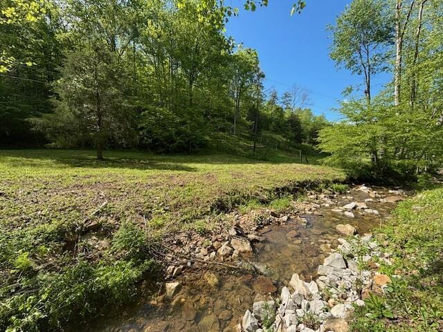 view of undeveloped land