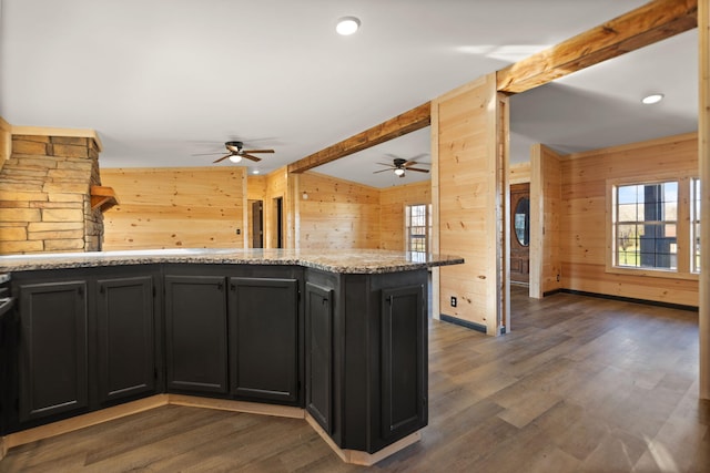 740 N Main St, Stanton, KY 40380 - kitchen featuring a ceiling fan, wood walls, plenty of natural light, dark wood-style floors, and light stone countertops