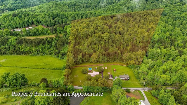 199 Langnau Rd, London, KY 40741 - bird's eye view of a forest