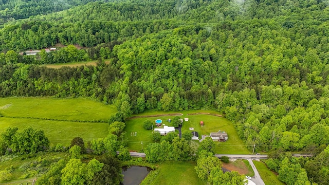 199 Langnau Rd, London, KY 40741 - bird's eye view of a forest