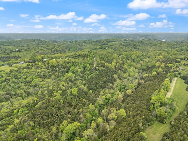 571 Whitlock Rd, Richmond, KY 40475 - drone / aerial view of a forest