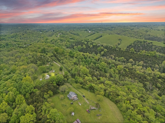 571 Whitlock Rd, Richmond, KY 40475 - aerial view at dusk of a forest view