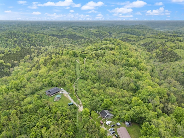 571 Whitlock Rd, Richmond, KY 40475 - view of property location featuring a heavily wooded area